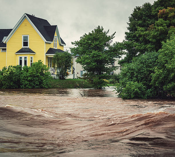 Comprehensive Flood Insurance Solutions: Ensuring Safety and&nbsp;Resilience