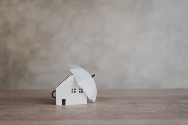 Purchasing House Insurance? Here’s How to Pick the&nbsp;Best